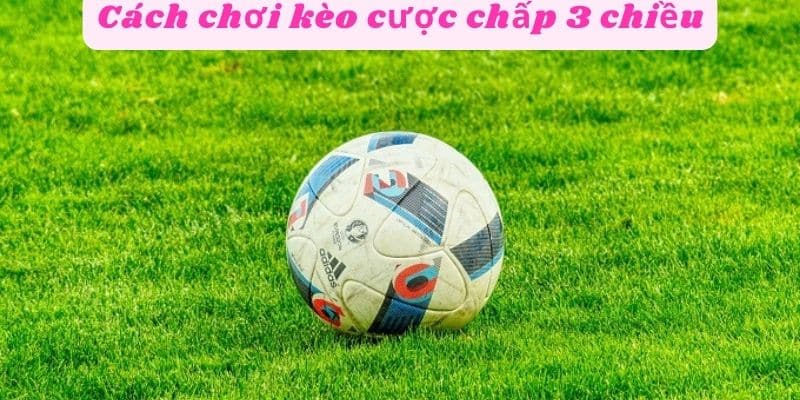 Cách chơi kèo cược chấp 3 chiều