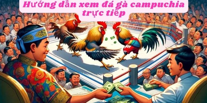 Hướng dẫn xem đá gà Campuchia trực tiếp